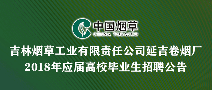 智联的招聘_云南开通公益网站 今日民族网