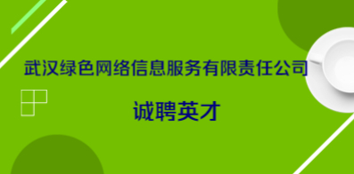 武漢綠色網絡信息服務有限責任公司