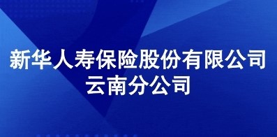 新華人壽保險股份有限公司云南分公司